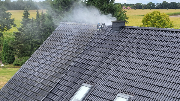 Reinigung eines Dachs