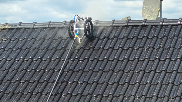 Reinigung eines Dachs