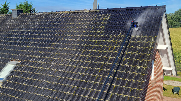 Reinigung eines Dachs